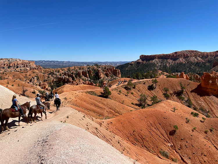 Bryce Canyon ontdekken per paard