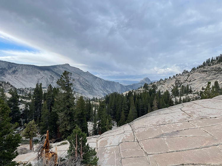 Verken Yosemite via de adembenemende Tioga Pass Road - uitzicht op Yosemite National Park