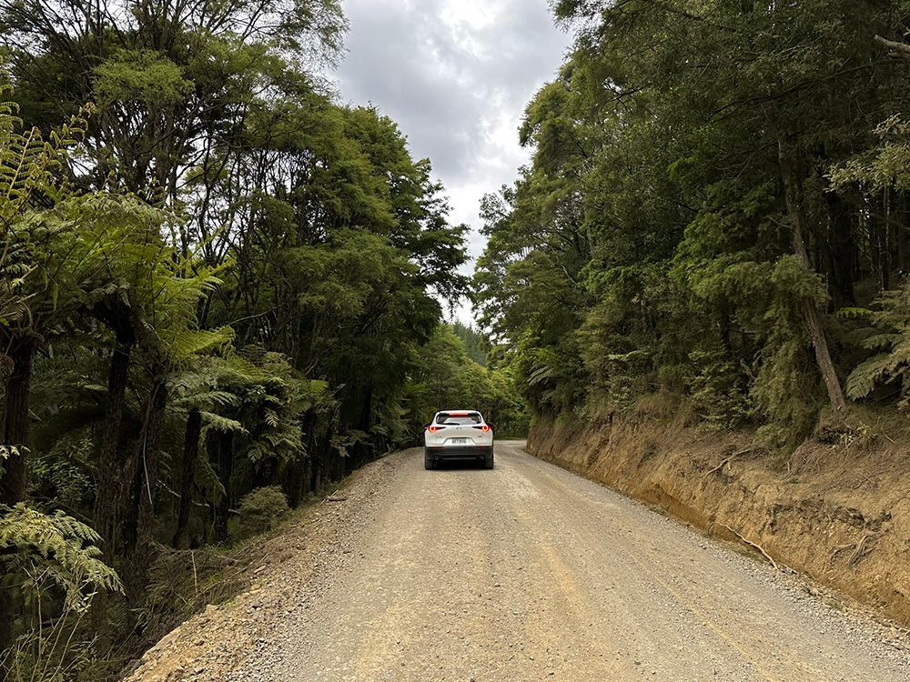 Over een gravelpad naar Waiau Kauri Grove en Waterval - Route Waiau
