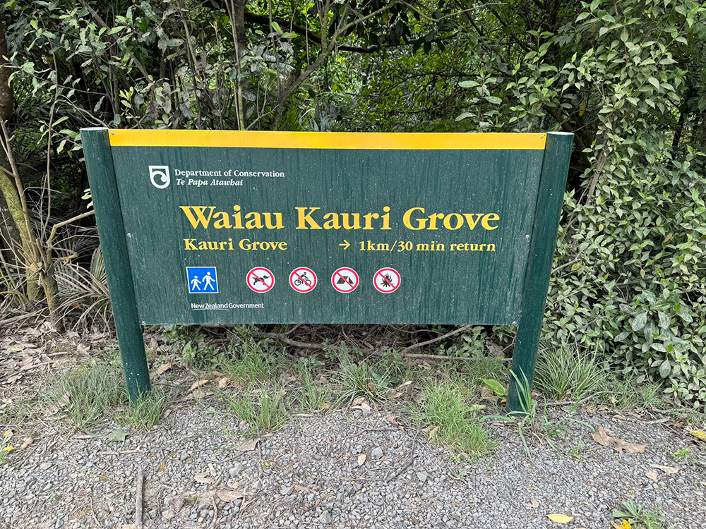 Parkeren Waiau Kauri Grove wandelpad