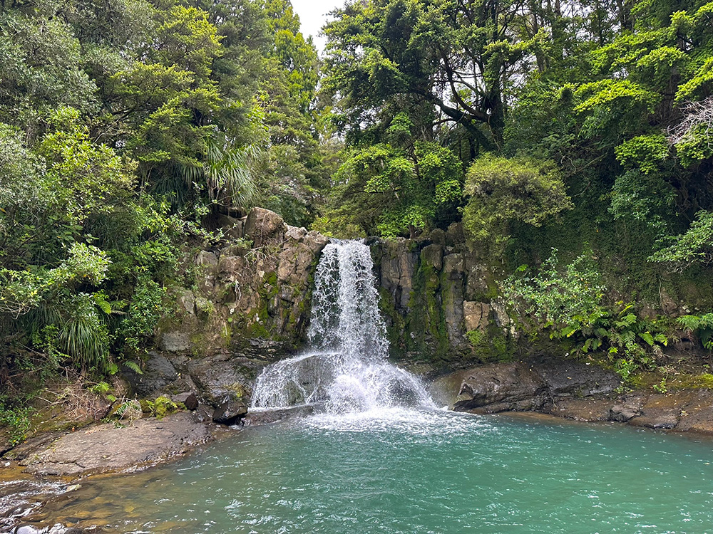 Waiau Waterval- zwemmen mogelijk