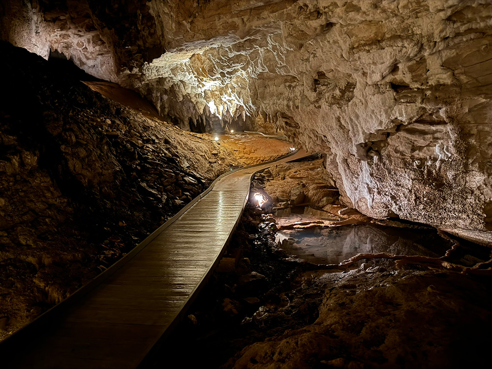 Grotten in Nieuw-Zeeland Spellbound cave