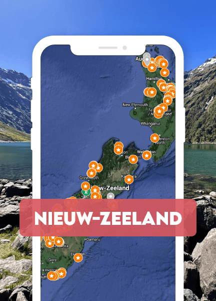 Nieuw-Zeeland PINS (1)