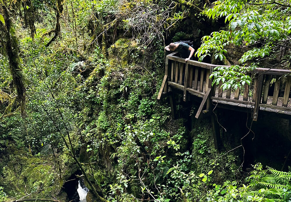 Ruakuri Bushwalk: bos, natuurlijke tunnels & grotten in Waitomo