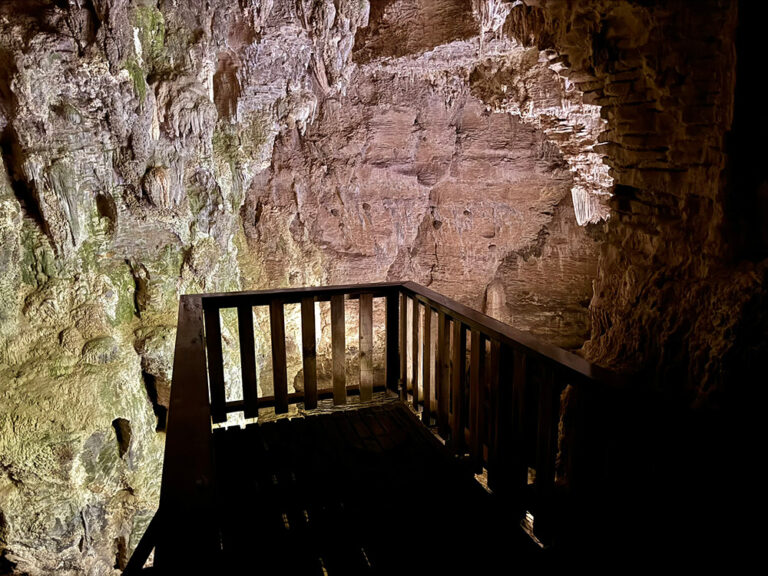 Waitomo Grotten Ruakuri Bushwalk: bos, natuurlijke tunnels & grotten in Waitomo ...