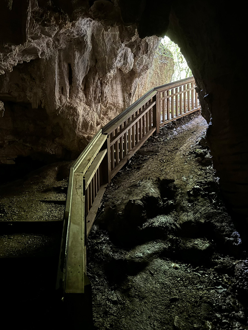 Waitomo Grotten Ruakuri Bushwalk: bos, natuurlijke tunnels & grotten in Waitomo ...