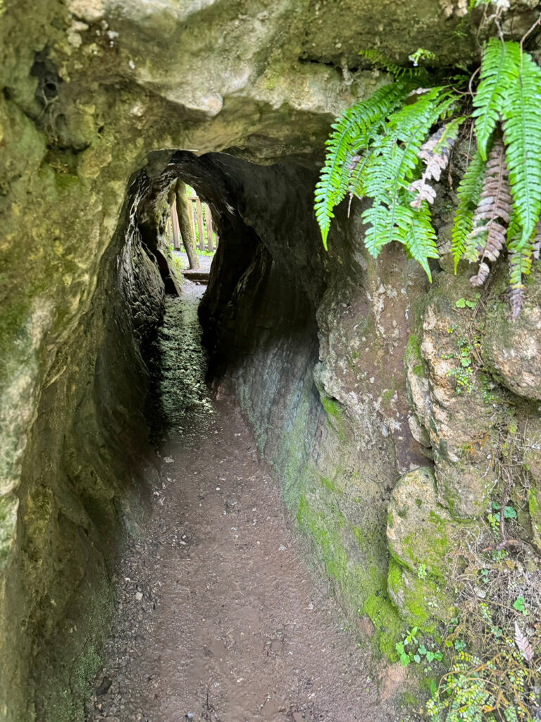 Ruakuri Natural Tunnel Waitomo