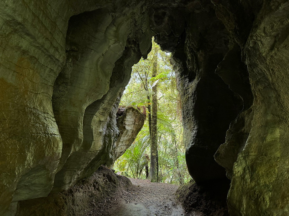 Ruakuri Natural Tunnel Waitomo