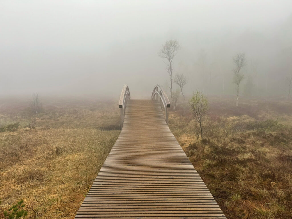 Makkelijk stukje op de wandeling preikestolen