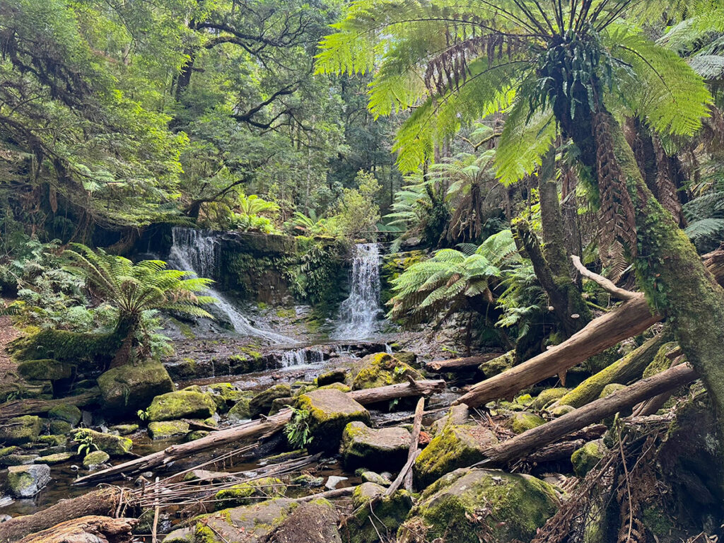 Horseshoe Falls Tasmanie Mount Field