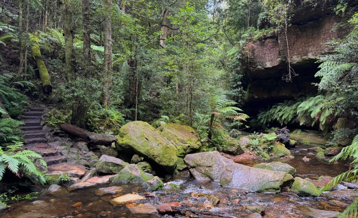 Grand Canyon Walking Track (Blue Mountains, Australië) (2)