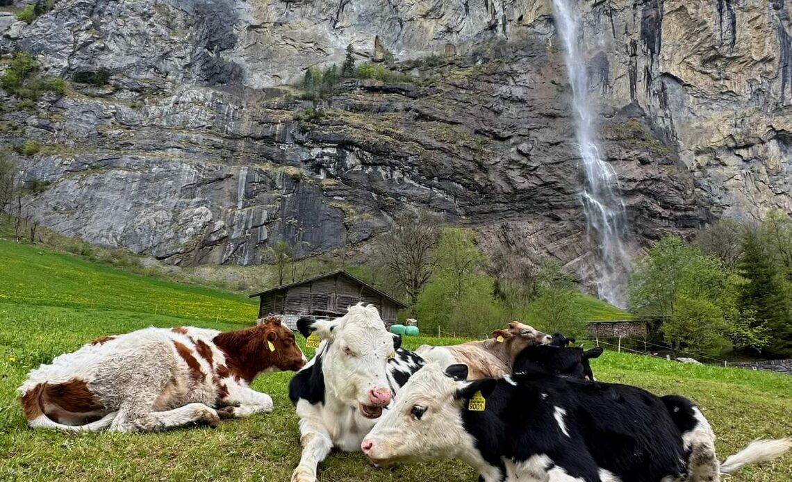 Staubbachfall Lauterbrunnen (1)
