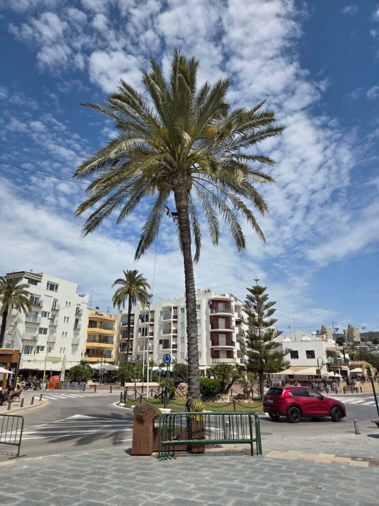 Waarom de Costa Blanca zo geliefd is bij vakantiegangers (2)