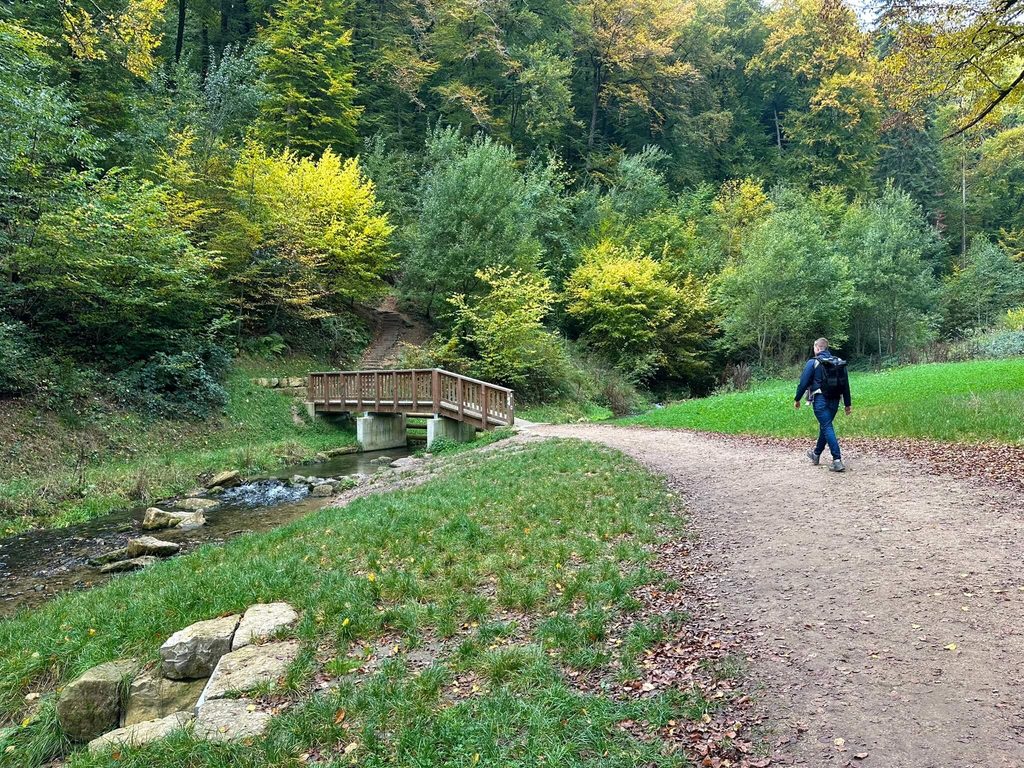 Via het bos naar de Schiessentümpel