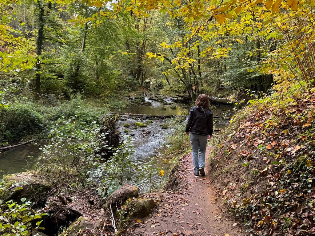 Via het bos naar de Schiessentümpel