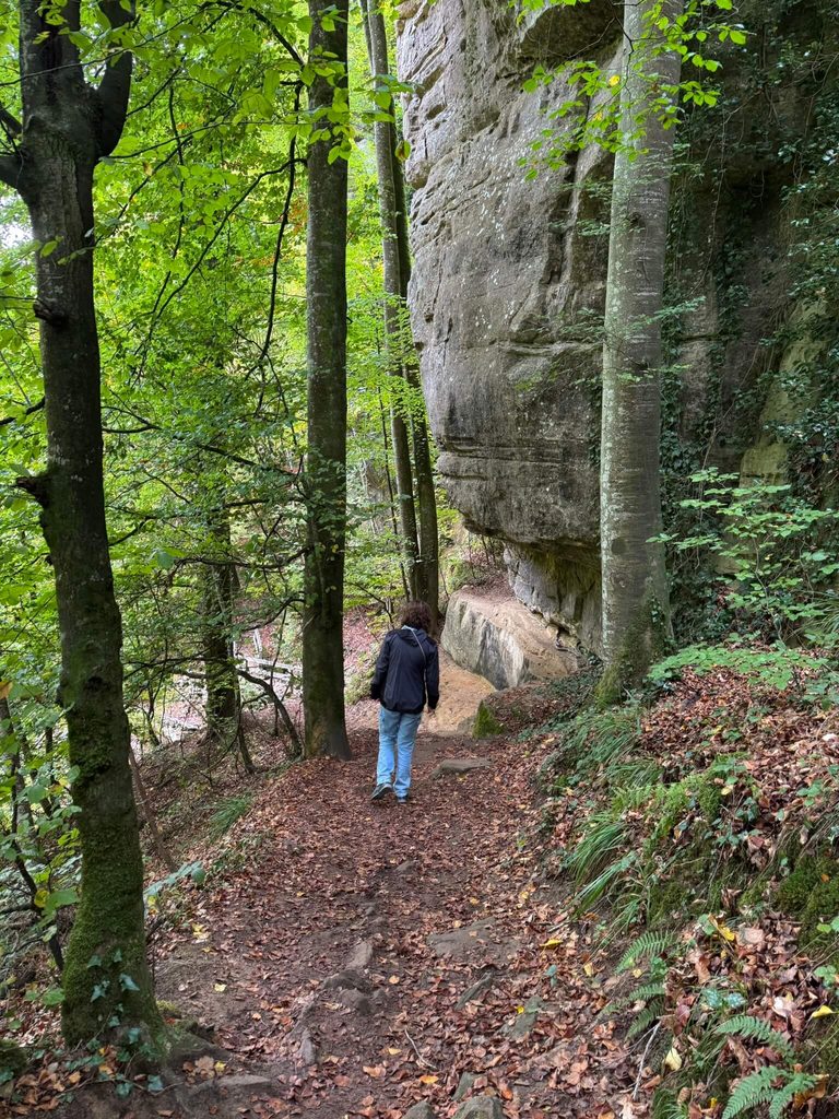 Via het bos naar de Schiessentümpel